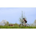 Laisse Ludus Bike – Image 2