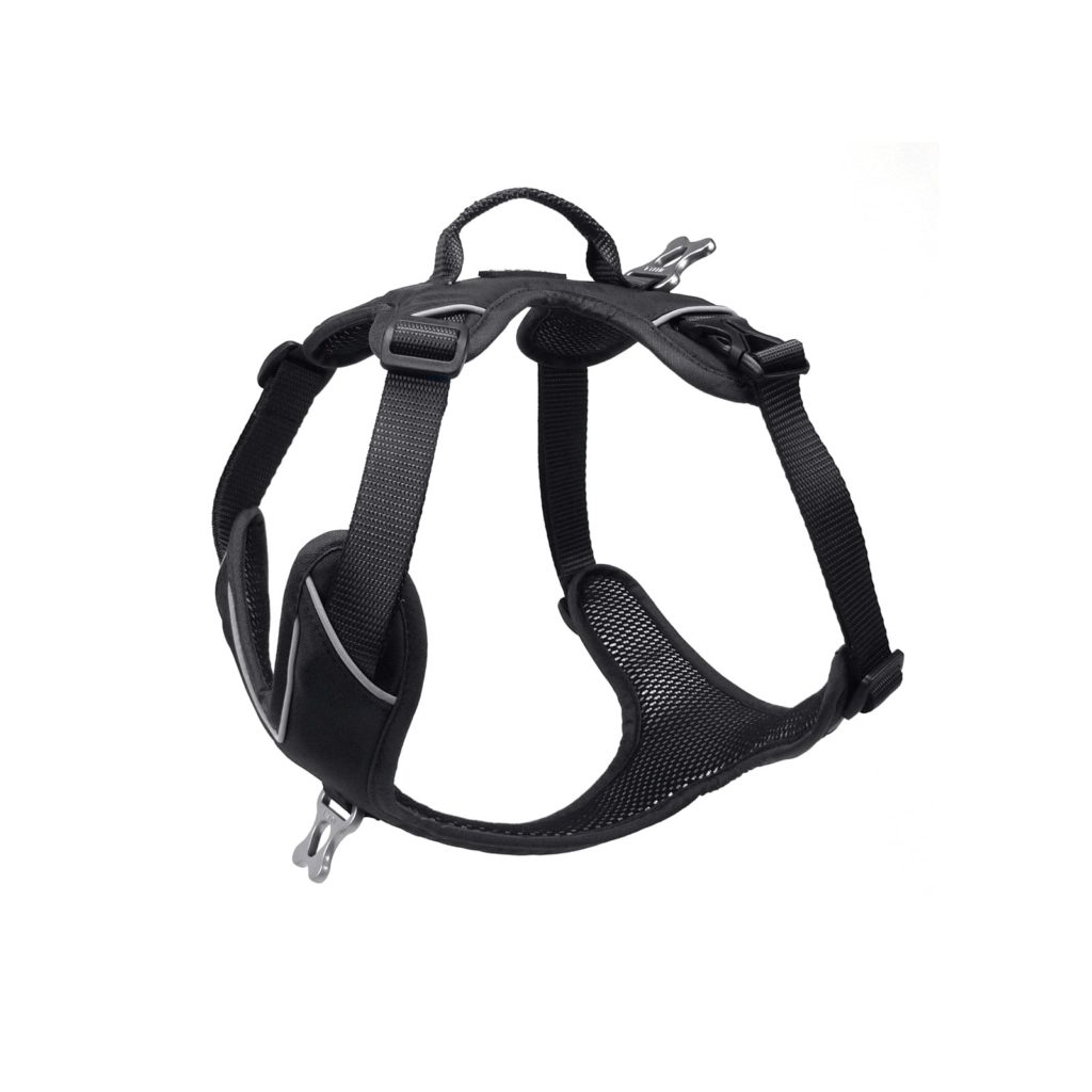 Momentum harness - Kyflie