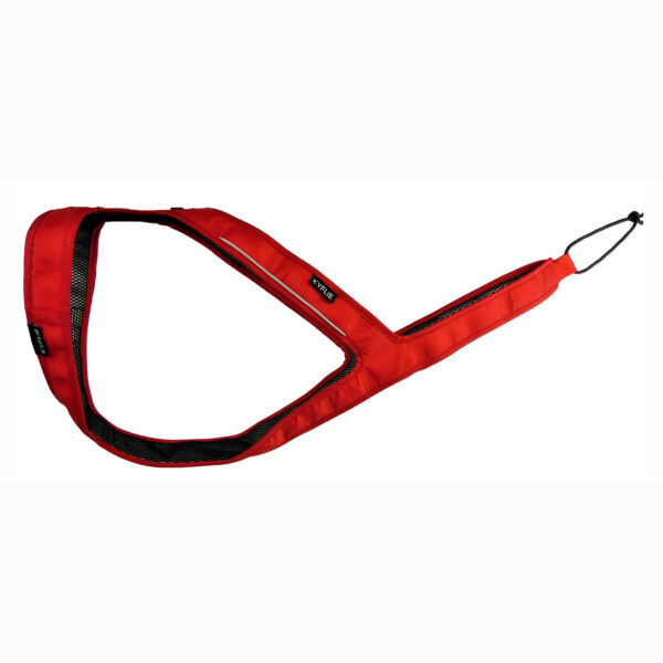 Ludus harness