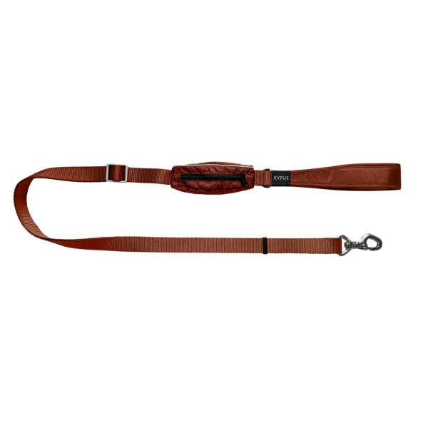 Laisse Comfort Momentum