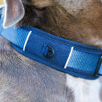 Momentum collar - Image 3