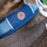 Momentum collar - Image 4