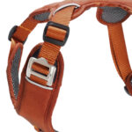 Harnais Momentum 5.0 – Image 4